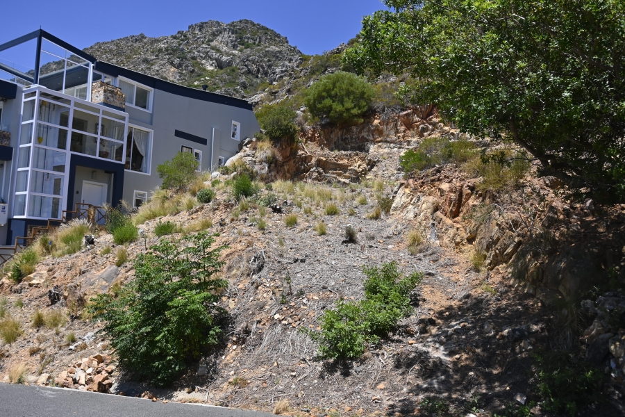 0 Bedroom Property for Sale in Mountainside Western Cape